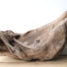 Treibholz Schwemmholz Driftwood 1 knorrige  Skulptur 27 cm hoch