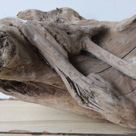 Treibholz Schwemmholz Driftwood 1 knorrige  Skulptur 27 cm hoch