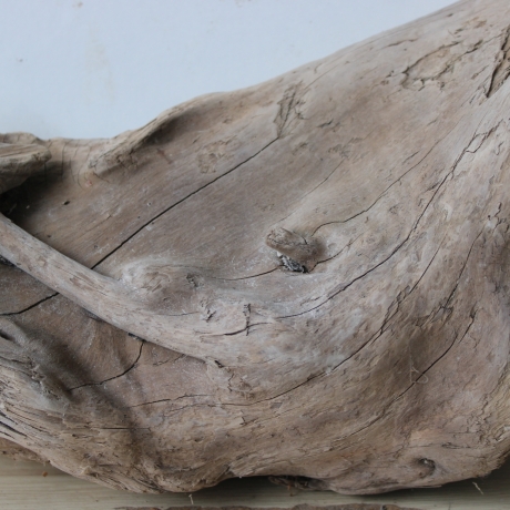 Treibholz Schwemmholz Driftwood 1 knorrige  Skulptur 27 cm hoch