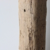 Treibholz Schwemmholz Driftwood  1 XL Balken  83  cm  