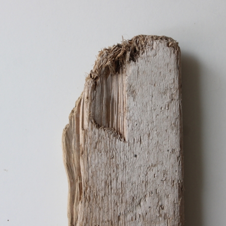 Treibholz Schwemmholz Driftwood  1 XL Brett Regal 79 cm  