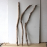 Treibholz Schwemmholz Driftwood 3 MEGA  Äste   126-134 cm 