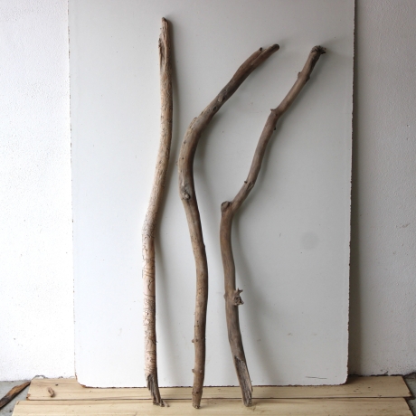 Treibholz Schwemmholz Driftwood 3 MEGA  Äste   126-134 cm 