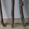 Treibholz Schwemmholz Driftwood 3 MEGA  Äste   126-134 cm 