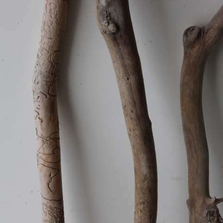 Treibholz Schwemmholz Driftwood 3 MEGA  Äste   126-134 cm 