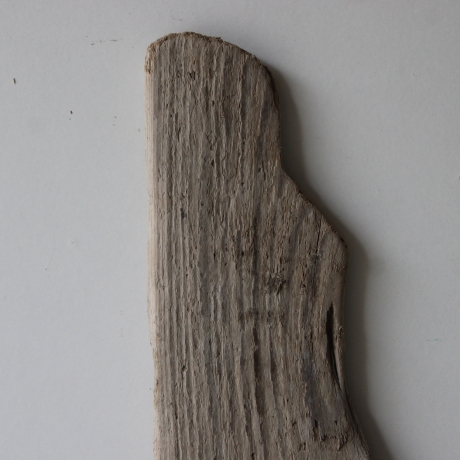 Treibholz Schwemmholz Driftwood  1  Brett Regal 69 cm 
