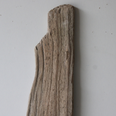 Treibholz Schwemmholz Driftwood  1  Brett Regal 69 cm 