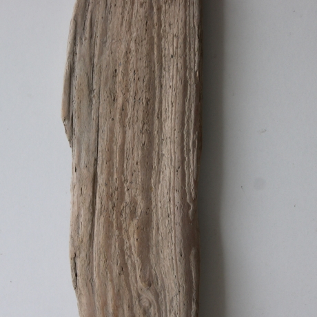 Treibholz Schwemmholz Driftwood  1  Brett Regal 69 cm 