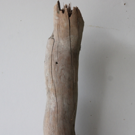 Treibholz Schwemmholz Driftwood 1 XL Ast  Garderobe 90 cm 