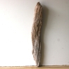 Treibholz Schwemmholz Driftwood 1  XL Skulptur  71  cm 