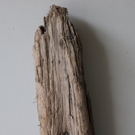 Treibholz Schwemmholz Driftwood 1  XL Skulptur  71  cm 