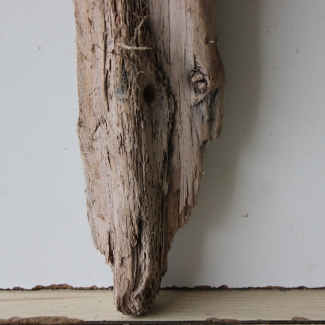 Treibholz Schwemmholz Driftwood 1  XL Skulptur  71  cm 