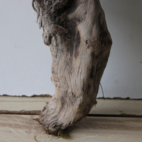 Treibholz Schwemmholz Driftwood 1 knorrige XXL Wurzel  76 cm  