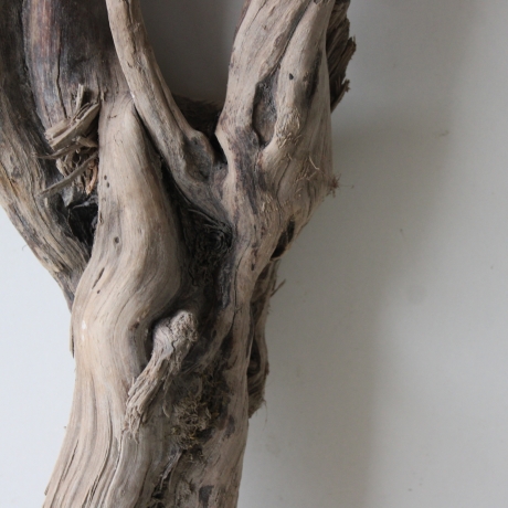 Treibholz Schwemmholz Driftwood 1 knorrige XXL Wurzel  76 cm  