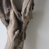 Treibholz Schwemmholz Driftwood 1 knorrige XXL Wurzel  76 cm  