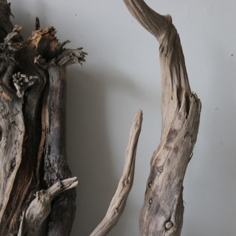 Treibholz Schwemmholz Driftwood 1 knorrige XXL Wurzel  76 cm  