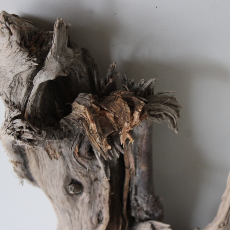 Treibholz Schwemmholz Driftwood 1 knorrige XXL Wurzel  76 cm  