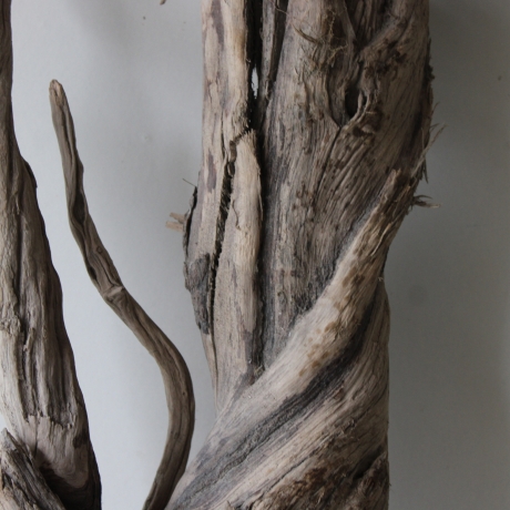 Treibholz Schwemmholz Driftwood 1 knorrige XXL Wurzel  76 cm  