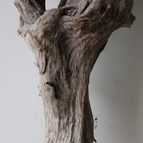 Treibholz Schwemmholz Driftwood 1 knorrige XXL Wurzel  76 cm  