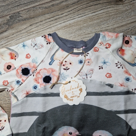 Langarmshirt, Raglan, Größe 98/104 Vögel
