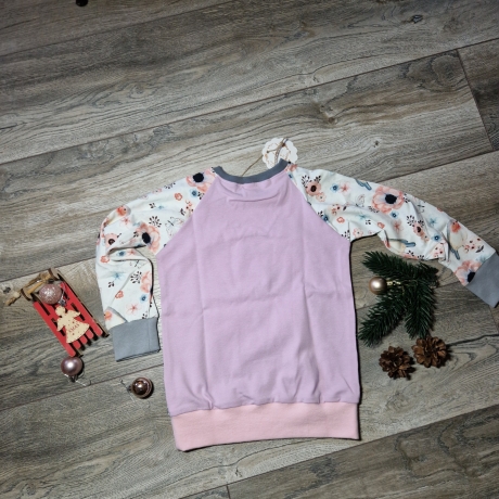 Langarmshirt, Raglan, Größe 98/104 Vögel