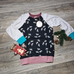 Langarmshirt, Raglan, Größe 110/116 Pferde