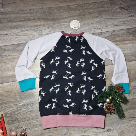 Langarmshirt, Raglan, Größe 110/116 Pferde