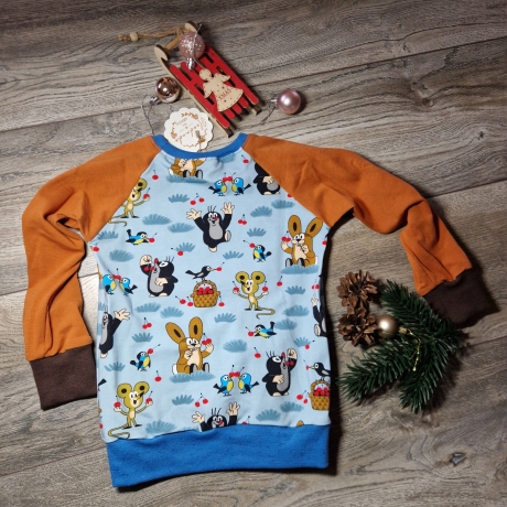 Langarmshirt, Raglan, Größe 86/92 Maulwurf 