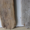 Treibholz Schwemmholz Driftwood 2 MEGA Bretter 130-148 cm  