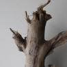 Treibholz Schwemmholz Driftwood 1 XL Stamm  Terrarium 73 cm 