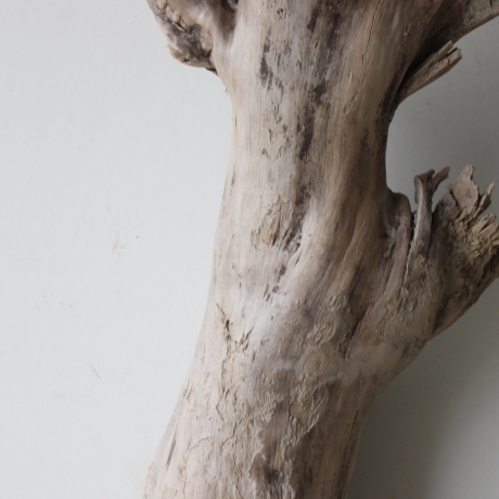 Treibholz Schwemmholz Driftwood 1 XL Stamm  Terrarium 73 cm 