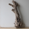 Treibholz Schwemmholz Driftwood 1 XL Stamm  Terrarium 73 cm 