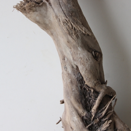 Treibholz Schwemmholz Driftwood 1 XL Stamm  Terrarium 73 cm 