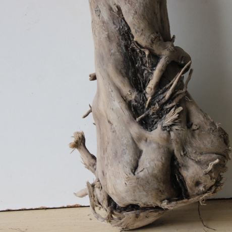 Treibholz Schwemmholz Driftwood 1 XL Stamm  Terrarium 73 cm 