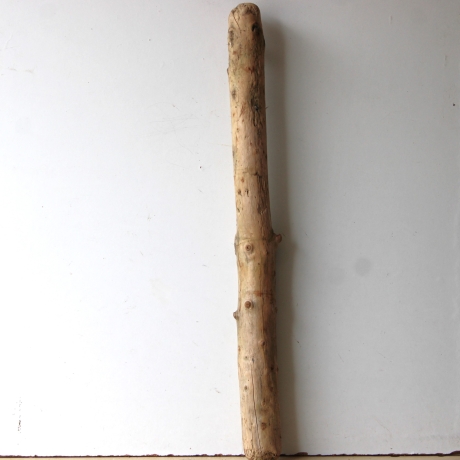 Treibholz Schwemmholz Driftwood 1 XL Stamm  Terrarium 90 cm 