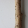 Treibholz Schwemmholz Driftwood 1 XL Stamm  Terrarium 90 cm 