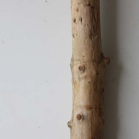 Treibholz Schwemmholz Driftwood 1 XL Stamm  Terrarium 90 cm 