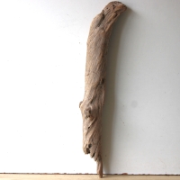 Treibholz Schwemmholz Driftwood 1 XL  Stamm  Terrarium 76 cm 