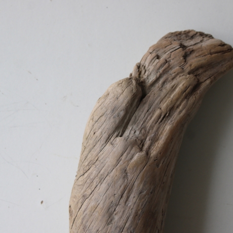 Treibholz Schwemmholz Driftwood 1 XL  Stamm  Terrarium 76 cm 