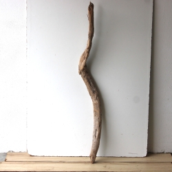 Treibholz Schwemmholz Driftwood 1 XXL  Ast  127  cm 