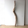 Treibholz Schwemmholz Driftwood 1 XXL  Ast  127  cm 