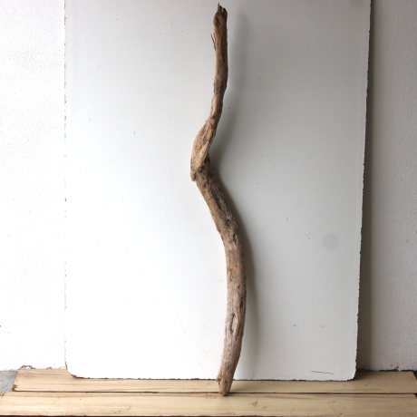 Treibholz Schwemmholz Driftwood 1 XXL  Ast  127  cm 