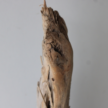 Treibholz Schwemmholz Driftwood 1 XXL  Ast  127  cm 