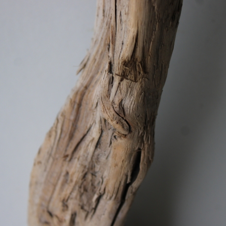 Treibholz Schwemmholz Driftwood 1 XXL  Ast  127  cm 