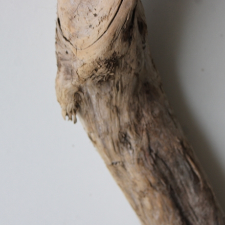 Treibholz Schwemmholz Driftwood 1 XXL  Ast  127  cm 