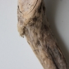 Treibholz Schwemmholz Driftwood 1 XXL  Ast  127  cm 