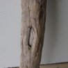 Treibholz Schwemmholz Driftwood 1 XXL  Ast  127  cm 