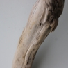 Treibholz Schwemmholz Driftwood 1 XXL  Ast  127  cm 