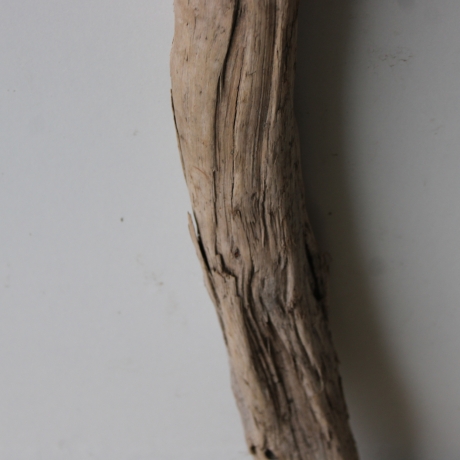 Treibholz Schwemmholz Driftwood 1 XXL  Ast  127  cm 