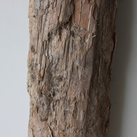 Treibholz Schwemmholz Driftwood 1  XXL   Skulptur  78  cm 